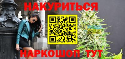 индика Лесосибирск
