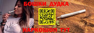 индика Лесосибирск