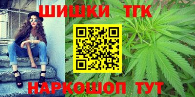 индика Лесосибирск