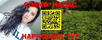индика Лесосибирск