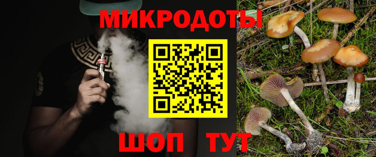Избербаш  Псилоцибиновые грибы прущие грибы  Вход с VPN 